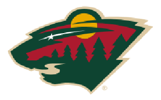 Minnesota Wild 1/20 1:00pm